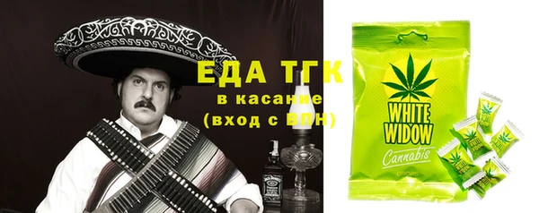 стаф Бородино