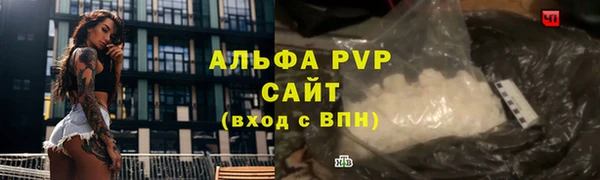 стаф Бородино