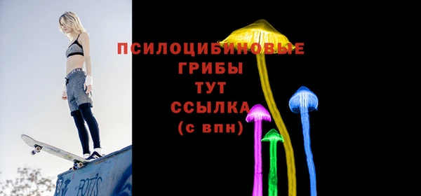 стаф Бородино