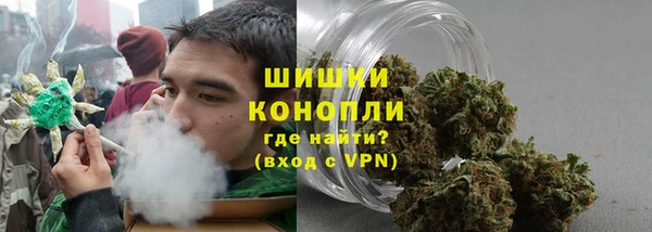 трава Богородицк